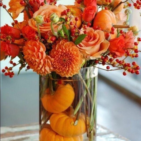 Meet your Posher, Jackie - Picture 1 of 1